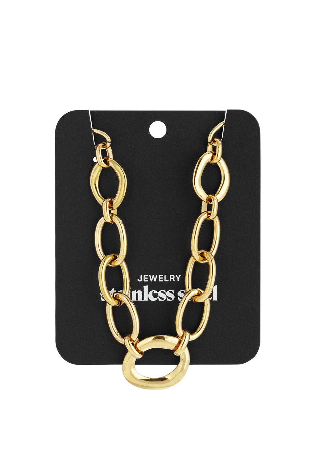 Stainless Steel Chain Necklaces Chain Casual Daily Simple Series Women's jewelry